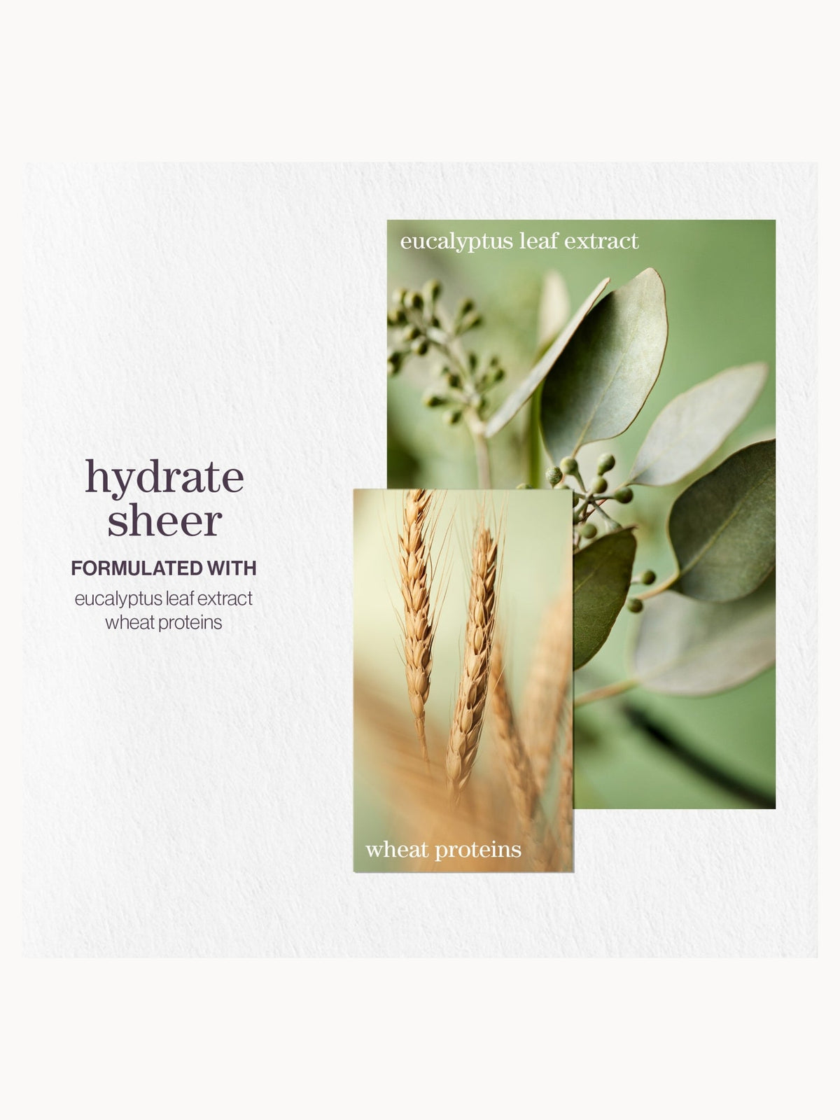 Pureology Hydrate Sheer Conditioner 1000ml – brand image 3
