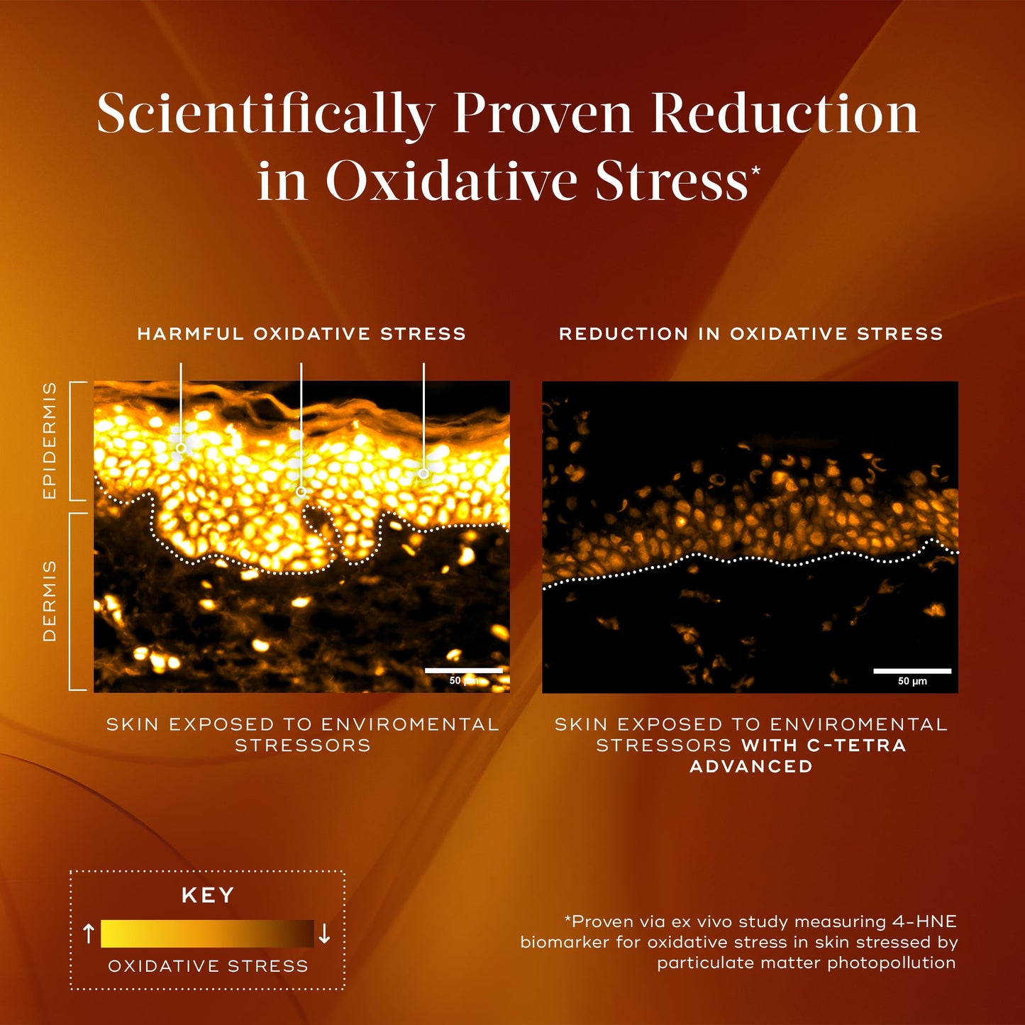 Medik8 C-Tetra Advanced 30ml oxidative stress reduction infographic